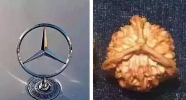 玩了好几年的三棱核桃，竟然发现是拼接的_搜狐网