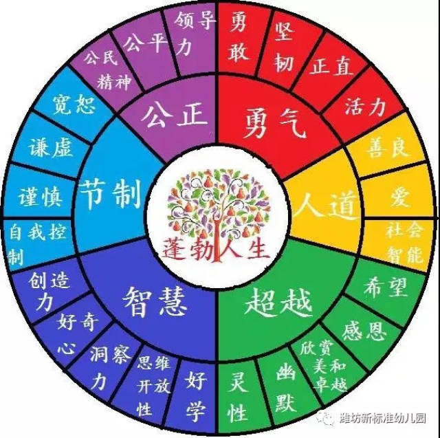 教育心理(教育心理学的收获与体会)