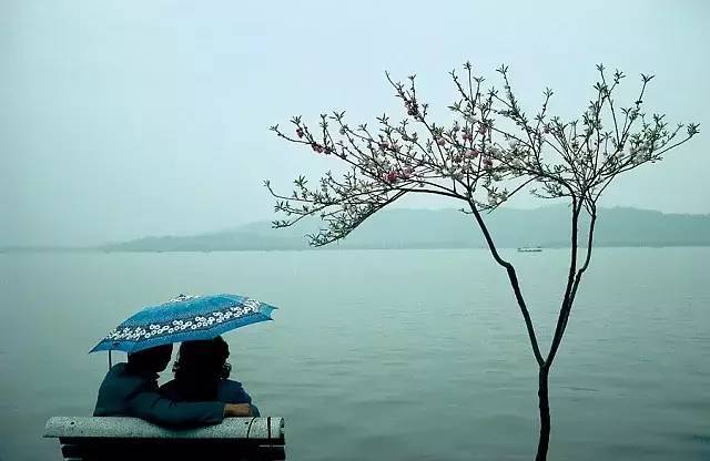 好书推荐：阎雷《昨天的中国》_YannLayma