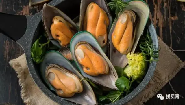 new zealand mussel(新西兰贻贝),new zealand green-lipped mussel