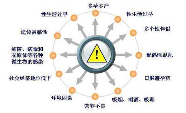 霉菌性阴道炎的症状(霉菌感染男性怎么治疗)-第2张图片-鲸幼网