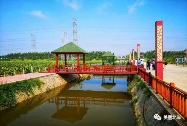 忠门镇:诗意偶拾,有梦入境——安柄村推进共建美丽乡村侧记