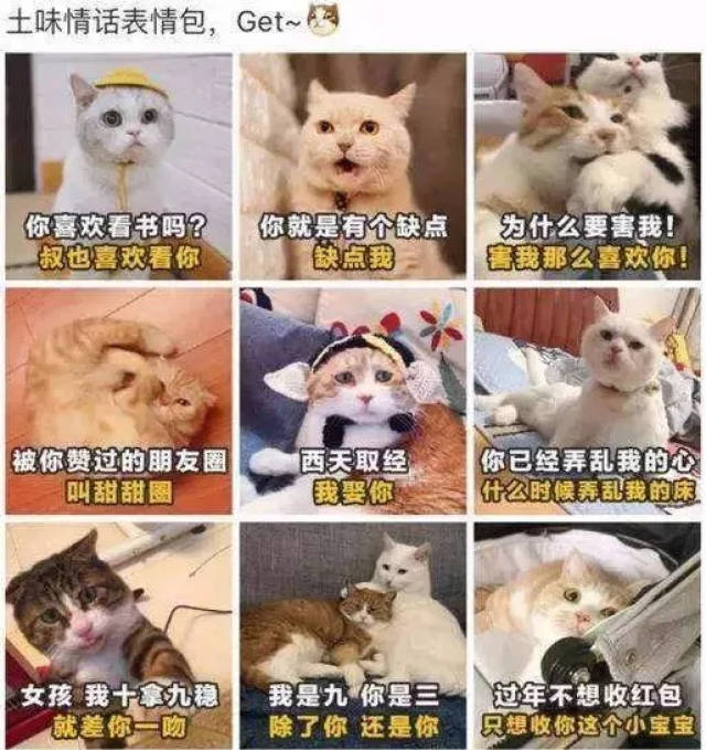 两句话，一生情