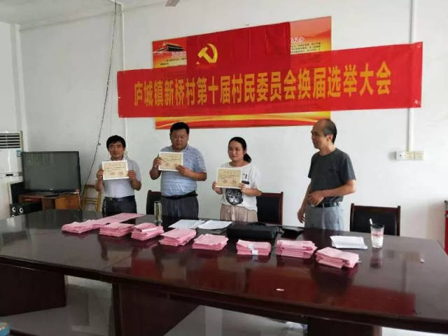庐江县庐城镇10个村第十届村民委会换届选举工作圆满完成