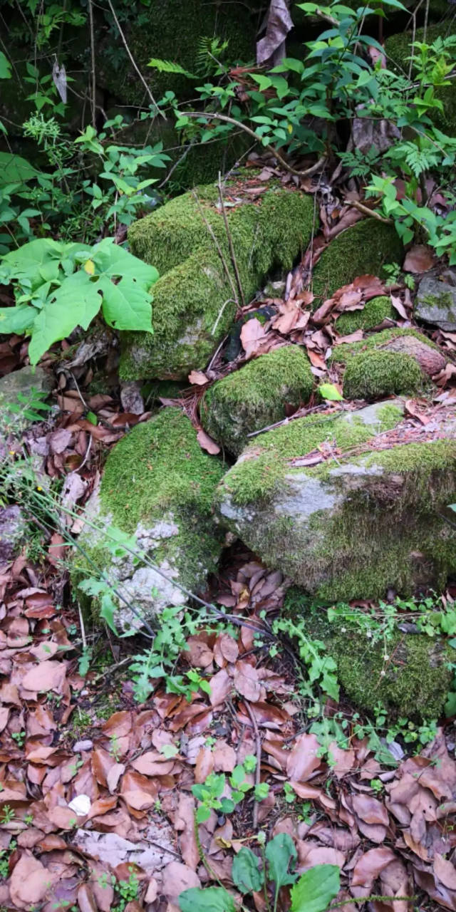 多彩浠水登浠水大灵山敬千古英雄汉