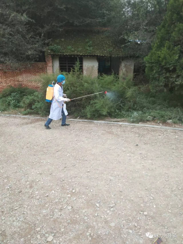 病媒生物防制：守护城市的健康堡垒