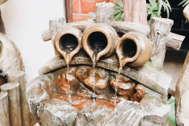 在花鸟市场还能领略到古诗里 "泉眼无声惜细流,树阴照水爱晴柔"的诗情