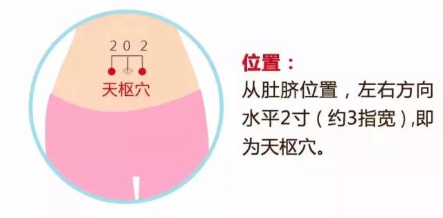 天枢的位置,小儿天枢的准确位置图,天枢星位置_大山谷图库