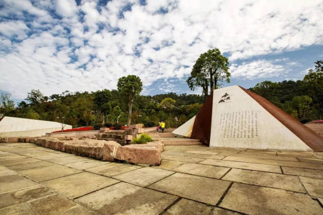 带你打卡最美桐屿!