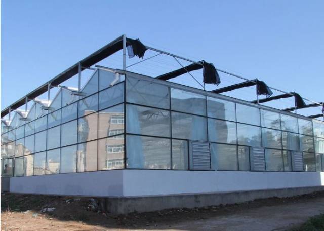 【房资讯】大棚里住别墅?大棚房要专项整治了!