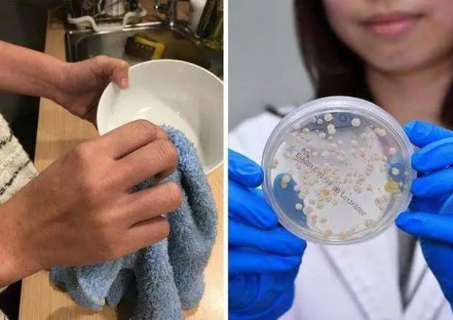 抹布之所以发臭是因为细菌生长需要水分,而抹布潮湿的环境正好是细菌