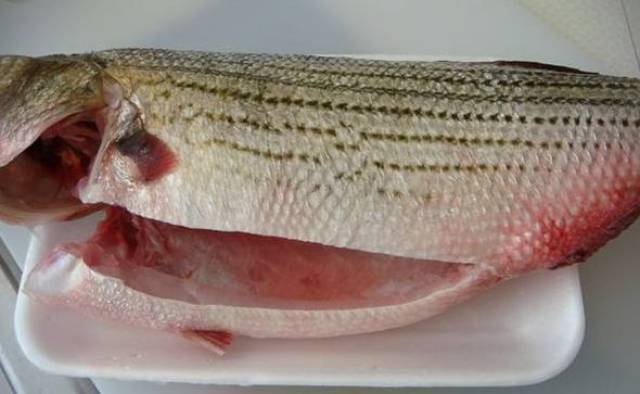 鱼腥味特重,关键点在这些地方