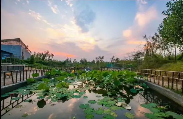 大束镇旅游景点图片