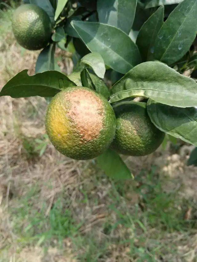 高温慎用不得不防