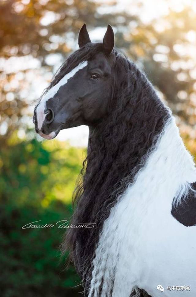 【映画】你的壁纸该换了,一波美马照隆重来袭!
