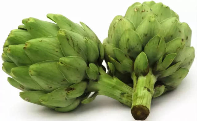 洋蓟——artichoke