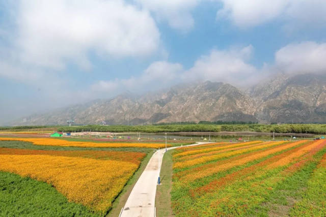 七彩大地旅游景区图片