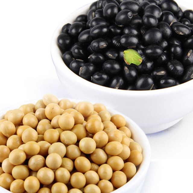 黑豆,黄豆,哪种营养最高?看完就不会吃错!_手机搜狐网