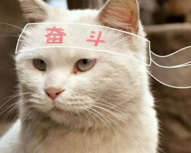 【重磅】2018-2019财政年澳洲技术移民清单、