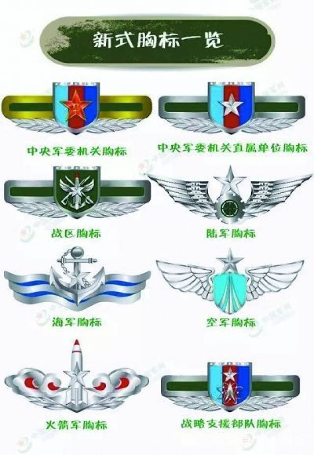 部队胸标图片图片