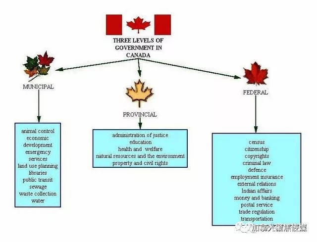 加拿大政府结构图片
