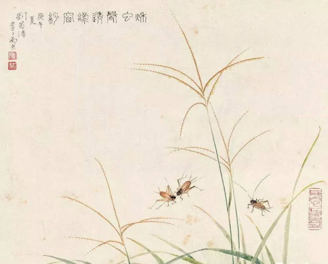 小草‖秋虫声声