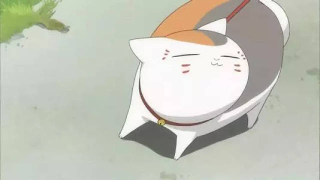 那些动画片里的猫,原型长啥样?