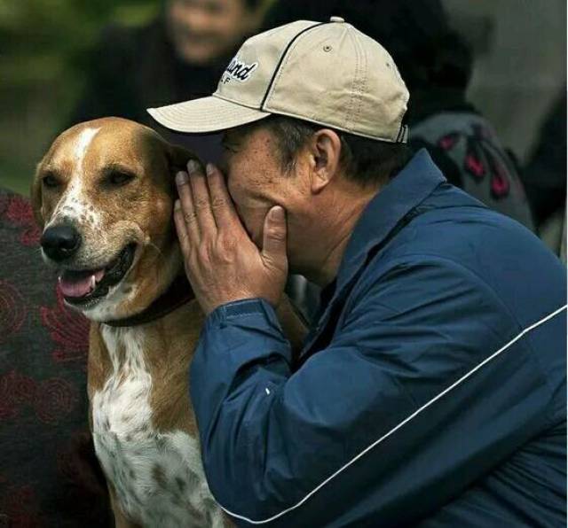 养狗之后,日常最喜欢的其中一件事就是对着狗狗说话,明知道它都不会回