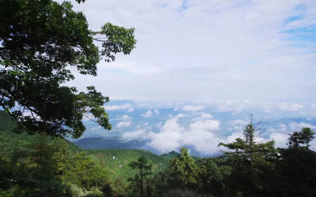 自驾路线 江津—渝泸高速(泸州方向—江綦高速—西湖(青泊)下