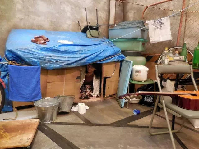 他们多为群居生活