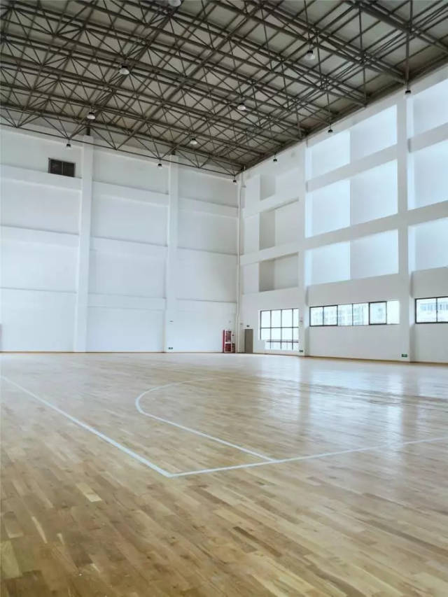 开学啦,金师附小凤山校区今日正式投入使用_手机搜狐网