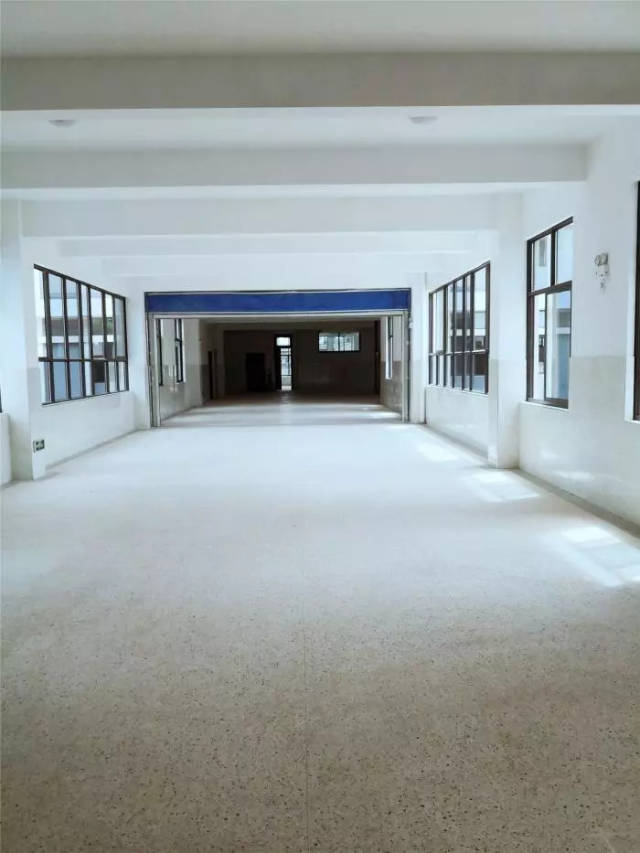 开学啦,金师附小凤山校区今日正式投入使用_手机搜狐网