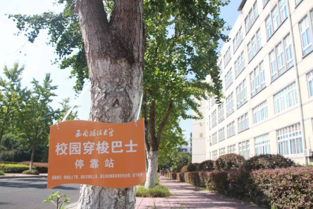 不怕绝望坡!校园巴士亮相西政啦!