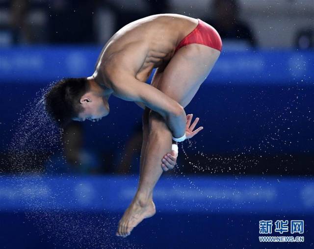 当日,在第18届亚运会跳水男子10米跳台决赛中,中国选手杨健以579.
