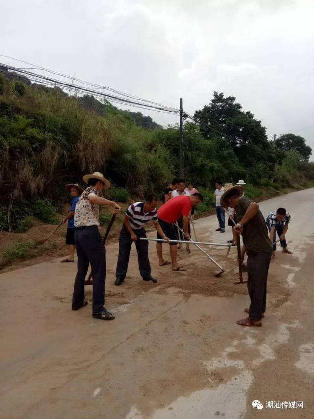 区电信局和镇领导到内輋村 参加救灾复产和志愿者活动