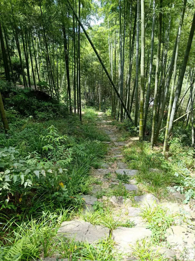 独松关古驿道,实为临安(今杭州)至健康(今南京)陆路捷径之要道.