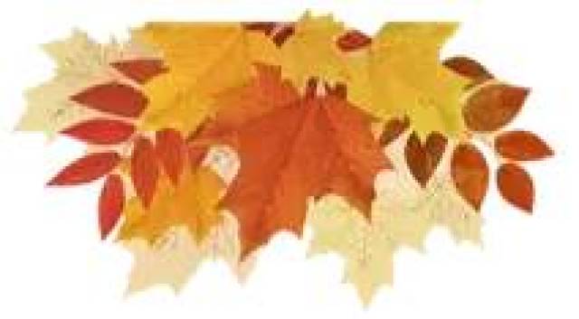 大快人心！引起众怒的“田佳良事件”最终处置结果是这样的！！