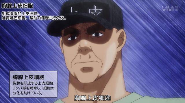 《工作细胞》第9话科普:杀手t细胞不为人知的黑历史