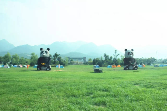 就在位于陕西省楼观的 秦岭大熊猫繁育研究基地 (陕西省珍稀野生段镲