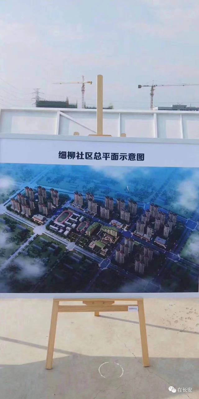 【拆迁动态】细柳社区,跃进村,焦东,焦西等地拆迁动态