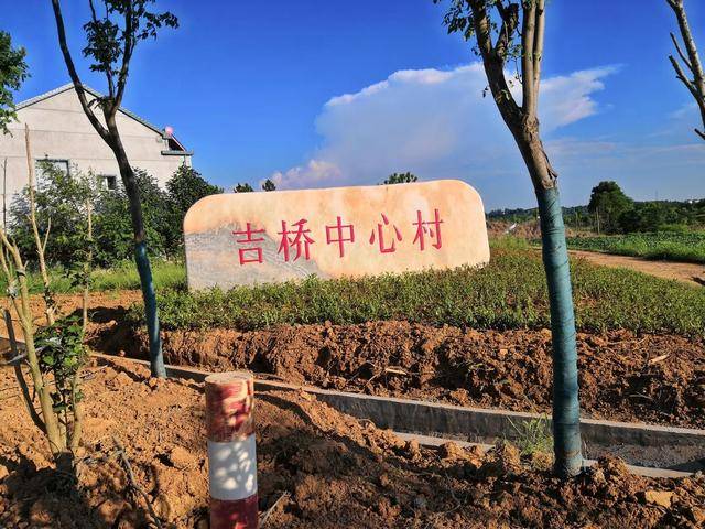 庐江县罗河镇"美丽乡村"建设让农村更美好