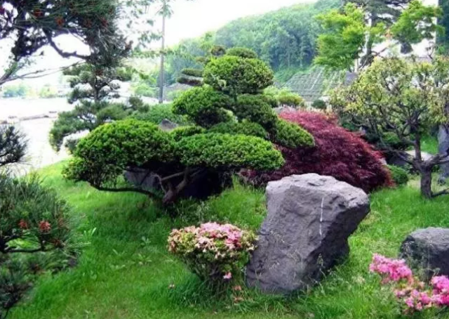 4,灌木花境:以花灌木为主组成的花境.
