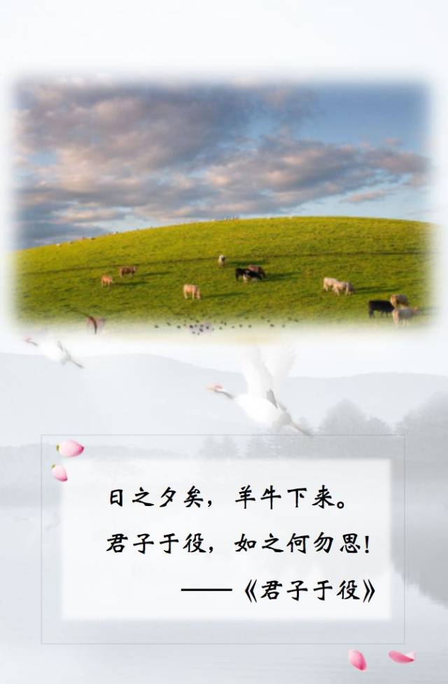 诗词歌赋|《诗经》篇— 《君子于役》