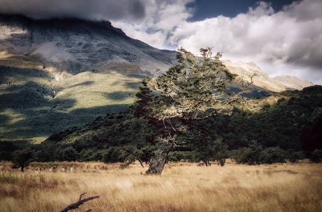 豆瓣评分8.3,《碟中谍6》分明是一部世界美景