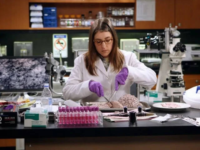 《生活大爆炸》即将完结!扒一扒剧中几位主角的学历!