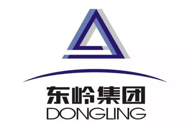 4. 陕西东岭工贸集团股份有限公司