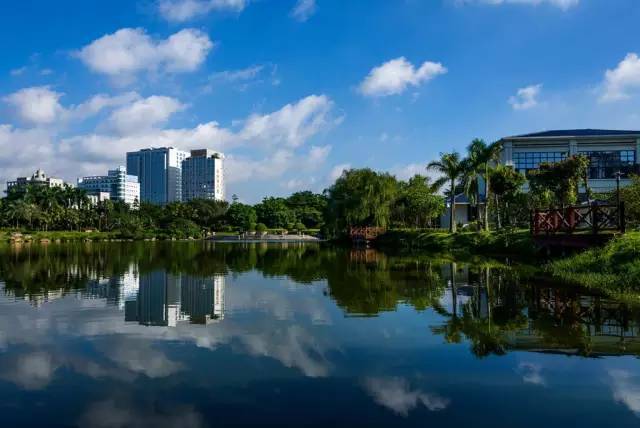 高百丈森林公園(梯面) 雁鷹湖森林公園(梯面) 義山森林公園(獅嶺) 華