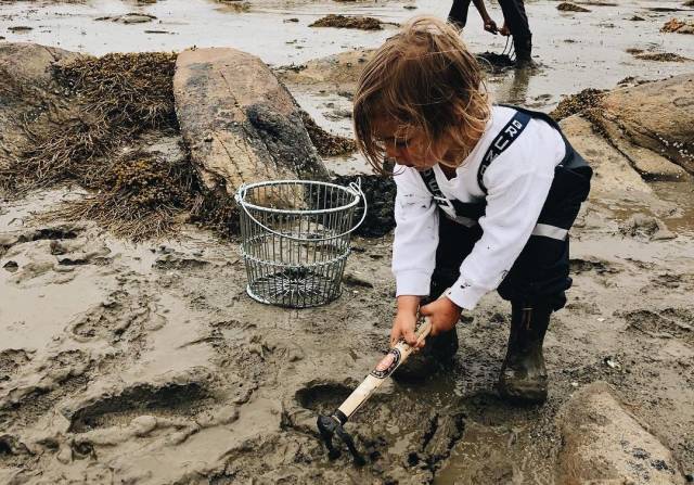 每顿饭,都可以是一次野餐