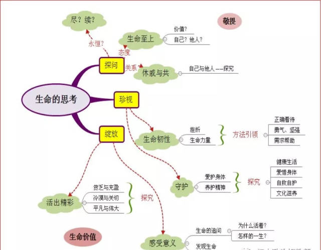 初一政治思维导图生命图片