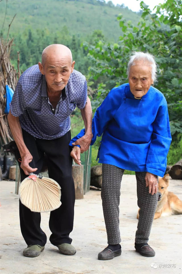 罕见!永州这对百岁夫妻携手96年 橡树婚写就爱情佳话